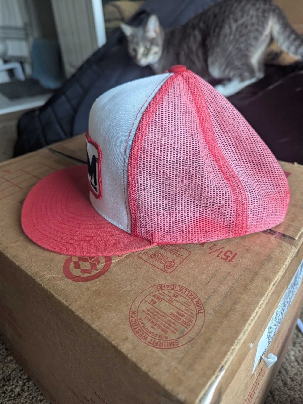 SPAM Trucker Cap - Picture 2 of 5